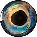 Brule 3-D Holographic Epoxy Fish Eyes (3mm-20mm) 60 Pack, Handpoured, Lures Fly Tying Streamers Crafts