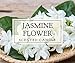 DII Home Traditions 3-Wick Evenly Burning Highly Scented 4x4 Large Jar Candle with 45+ Hour Burn Time (14.5 Oz) - Jasmine Flower Scent