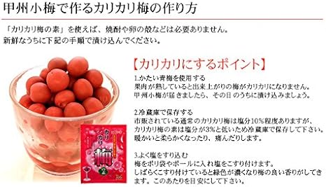 Amazon カリカリ梅の素 梅500g用 コミローナ 漬物の素 糠床 通販 Amazon カリカリ梅の素 梅500g用 コミローナ 漬物の素 糠床 通販
