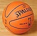 Spalding 73-139 NBA Replica Rubber Outdoor Basketball