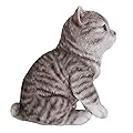 Pacific Giftware Realistic and Cute Grey Tabby Kitten Collectible Figurine Amazing Detail Glass Eyes Hand Painted Resin Life Size 8 inch Figurine Perfect for Cat Lover Collectible