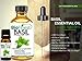 BioFinest Sweet Basil Oil - 100% Pure Sweet Basil Essential Oil - Premium Organic - Therapeutic Grade - Aromatherapy - Best For Flu - Help to Ease Dizziness- Remove Odors - FREE E-Book (10ml)