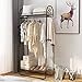 LANGRIA Compact Free-Standing Garment Rack Made of Sturdy Iron with Spacious Storage Space, 2 Shelves, 1 Clothes Hanging Rod, Heavy Duty Clothes Organizer for Bedroom, Entryway (Black)