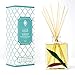 LUXE Home Winter Mint & Eucalyptus Reed Diffuser Oil | Herbal Essential Oil Blend | Elegant Home Decor | Decorative Red & Green Eucalyptus Leaves Inside The Bottle!