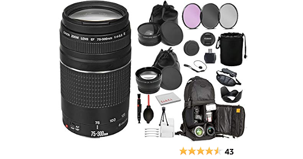 Amazon Com Canon Ef 75 300mm F 4 5 6 Iii Lens 6473a003 With Professional Bundle Package Kit For Canon Eos Includes Dslr Sling Backpack 3pc Filter Kit Wide Angle Telephoto Lens More Electronics