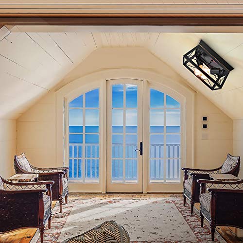 HMVPL Industrial Close to Ceiling Light, Farmhouse Flush Mount Pendant Lighting Fixtures Mini Ceiling Lamp 2-Light for Kitchen Island Dining Room Bedroom Foyer Hallway