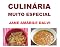 Livro CULINÁRIA MUITO ESPECIAL