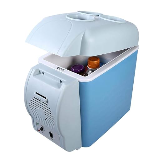 GOTOTO DC 12 V Frigorífico para Coche, Mini Nevera portátil ...