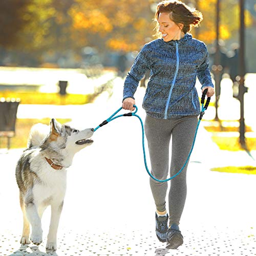 tobeDRI Heavy Duty Dog Leash 2 Padded Handles, 6 feet Long Dog