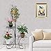 Moutik Home Metal Plant Stand:Flower Holder Pots Garden Yard Decor Display Stand with 4 Tiers Living Room Shelf Organizer for Outdoor Indoor Planter Rack Corner Black