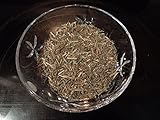 Florida Herbal Pharmacy, Knotgrass Herb (Polyganum aviculare), Cut 4 oz.