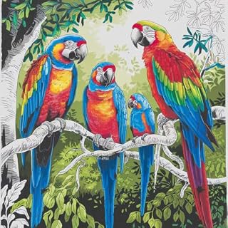 Livro COLORINDO E APRENDENDO: LIVRO PARA COLORIR