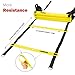 AGILITY LADDER and CONES. Great Training Equipment to Practice Speed Drills in Soccer, Football, Basketball & Sports. Set of 15ft Ladder, 10 Markers, Pegs, Bag & Exercise Ebook