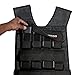 Titan Fitness 60 LB Adjustable Weight Vest, 2.5 LB Solid Cast Iron Weights, Body Weight Vests for Training Workout, Jogging, Cardio, Walking, Elite Weighted Vest Workout Equipment
