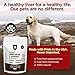 Milk Thistle for Dogs Liver Detox Support (120 GMS), Canine and Cat Liver Support Supplement Powder Without Capsules, Pills
