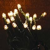 CWI Gifts 35 Count Teeny Lights, Green