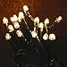CWI Gifts 35 Count Teeny Lights, Green
