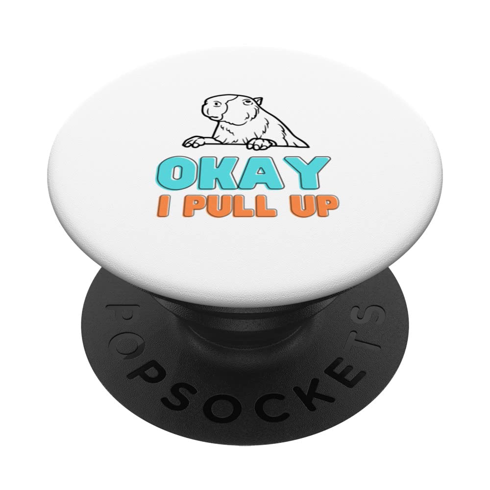 Ok I Pull Up Capybara - Happy Animal Pet Lover, Funny PopSockets Swappable PopGrip