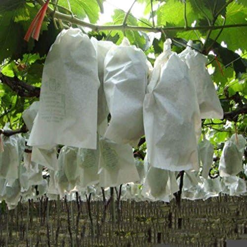 100 Unids Uvas de Jardín Bolsa de Protección de Frutas para Fruta ...