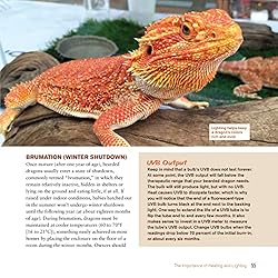 Bearded Dragon Manual, 3rd Edition: Expert Advice