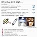 BOODLED 20pcs C5w 31mm(1.25”) LED Bulb 3528 12-SMD Chipsets Xenon White Festoon Interior Dome Map Trunk Cargo LED Bulbs Lights DE3175 DE3021 DE3022 3175,6000K~6500K,DC12V.