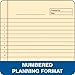 TOPS Docket Gold Project Planning Pad, 8-1/2 x 11-3/4 Inches, Wire Bound, Ivory, Project Rule, 70 Sheets per Pad (63755)