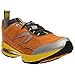 Newton Running Terra Momentum