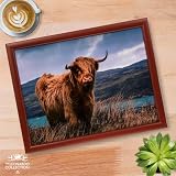 The Leonardo Collection Highland Cow Laptray | Comfortable Bean Bag Tray view 2