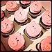 Cupcake Box holds 12, PACK of 10, 14x10x4 White Window Bakery/Cake Box and Inserts w/ Signature Picks
