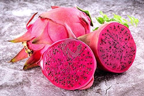 Red Dragon Fruit Seeds ~ Spectacular Flowers ~ Very Easy to Grow, Germinates Readily ~ Pitaya (Hylocereus Costaricensis)50 Seeds