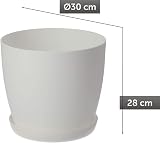 B2C Flower Pots 6 Colours 8 Sizes Matt Plastic Plant Pots Planter + Saucer Tray view 6