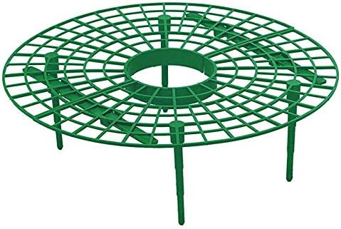 CHuangQi Soporte para Plantar Fresas, Soporte de Soporte para ...