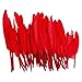 50pcs Home Decor Dark Red Goose Feather