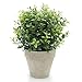 Velener Artificial Grass Faux Plants Indoor - Square Topiary Small Fake Plant for Home Decor Indoor Window Sill Plant Shelf Desk Decorations for Women Office Cubicle Sage Green Bathroom Accessories