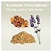doTERRA - Immortelle Essential Oil Anti-Aging Blend - Essential Skin Care Collection - 10 ml