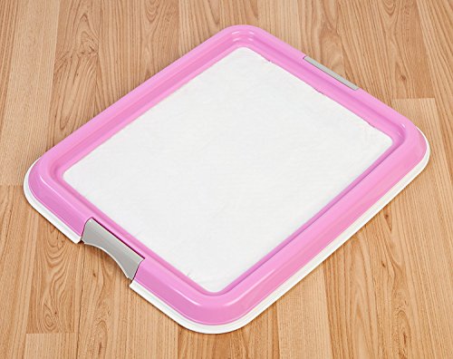 iris training pad holder