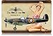 British WW2 Vintage Metal Sign Spitfire MkIA Pinup Girl