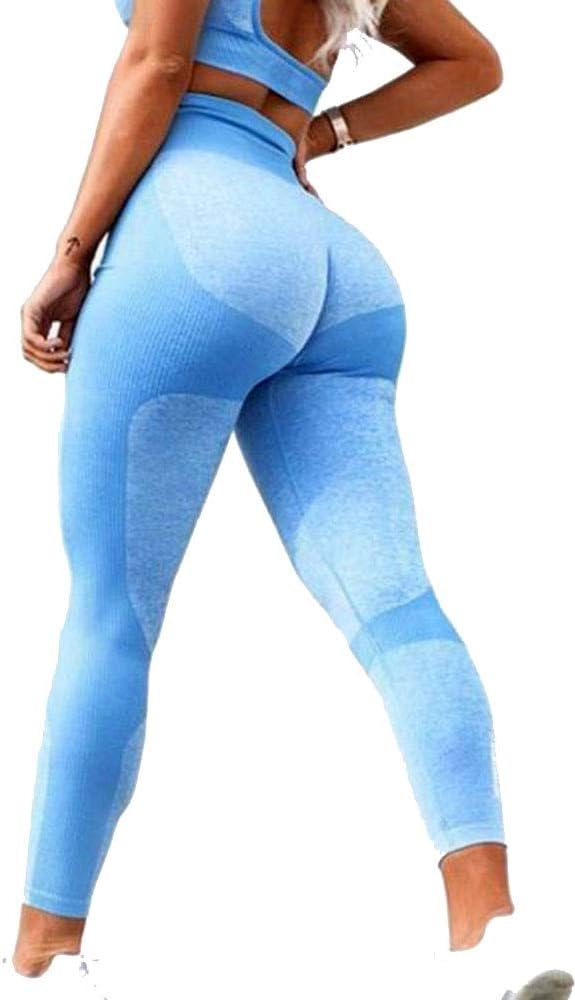 Womens High Waist Yoga Leggings Seamless Fitness Sports Gym Pants Shark Trousers