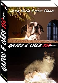 gatos e cães (150 imagens)