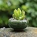 8 PCS 2.25 Inch Mini Ceramic Small Succulent Planter Pot Serial Cactus Planter Pot Flower Pot Container Planter