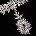 Holylove Crystal Statement Necklace Choker Chain Jewelry in Crystal Beads Gift Box-HLN0006 Crystal
