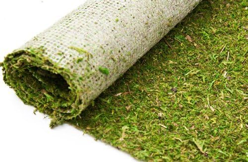 bdcraftsbdcrafts Moss Runner Green 18''w X 12ft Long