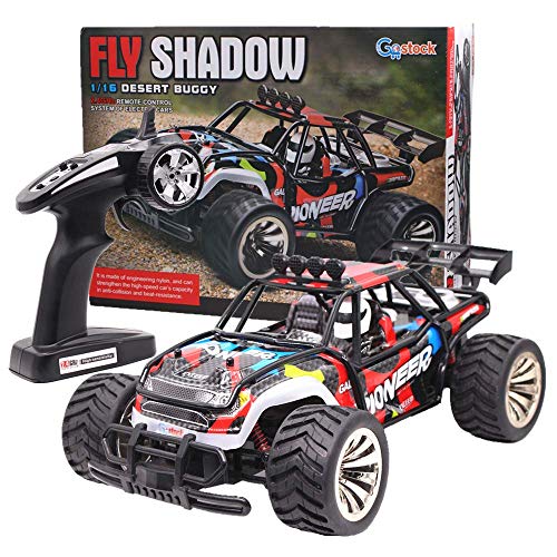 fly shadow desert buggy