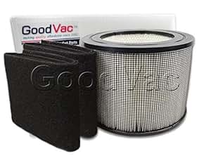 Amazon.com: Filter Queen Defender 4000 HEPA Replacement Filter + 2