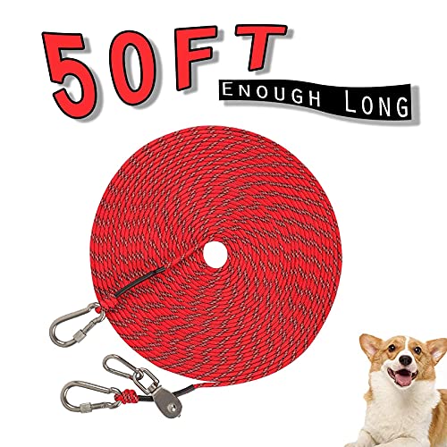 dog leads for camping