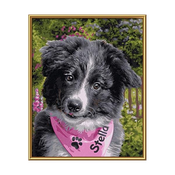 Schipper 609240793 Malen nach Zahlen - Kleiner Border Collie, 24 x 30 cm – Bild 3