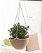 3 Pcs Hanging Chain Planter Indoor Outdoor Basket Flower Plant Pot Planter, Color Random (3 Pcs)