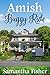 Amish Buggy Ride (Amish Homestead Book 1) by Samantha Fisher