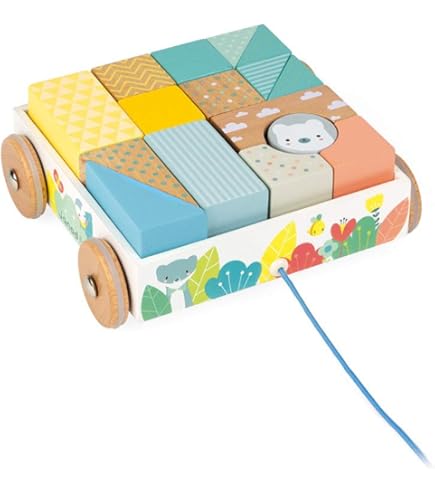 Amazon.com: Janod Zigolos Pull Along Fox Early Learning and Motor  