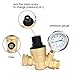TargetEvo Adjustable Brass Lead-free Water Pressure Regulator Reducer With Gauge Inlet Screened Filter For RV (NH Thread)